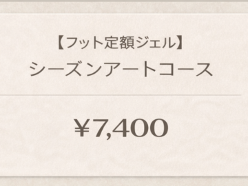 ■定額ジェルシーズンアートコースの画像